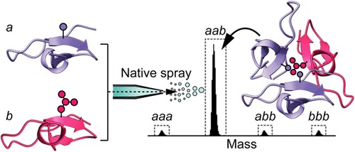 Ying Ge Research Group - UW-Madison
