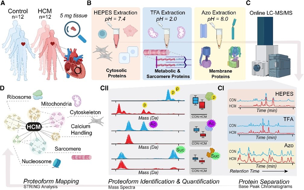 Ying Ge Research Group - UW-Madison